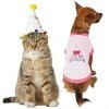 Frisco Confetti Birthday Hat, Small/Medium + Dog & Cat T-Shirt, Pink