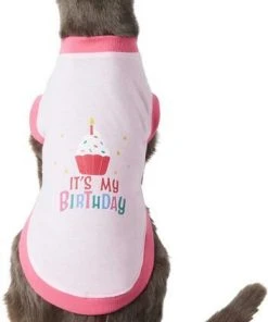 Frisco Confetti Birthday Hat, Small/Medium + Dog & Cat T-Shirt, Pink -Frisco Sales 2024 302446 PT5. SY630 V1623038847