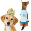 Frisco Happy Birthday Crown, Medium/Large + Dog & Cat T-Shirt, Blue -Frisco Sales 2024 302454 MAIN. SY630 V1623063780
