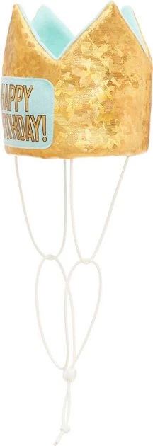 Frisco Happy Birthday Crown, Medium/Large + Dog & Cat T-Shirt, Blue 5 Frisco Happy Birthday Crown, Medium/Large + Dog & Cat T-Shirt, Blue - Image 3