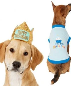 Frisco Happy Birthday Crown, X-Small/Small + Dog & Cat T-Shirt, Blue
