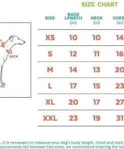 Frisco Happy Birthday Crown, X-Small/Small + Dog & Cat T-Shirt, Blue -Frisco Sales 2024 302470 PT8. SY630 V1623075757