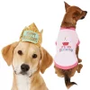 Frisco Happy Birthday Crown, X-Small/Small + Dog & Cat T-Shirt, Pink -Frisco Sales 2024 302474 MAIN. SY630 V1623048746