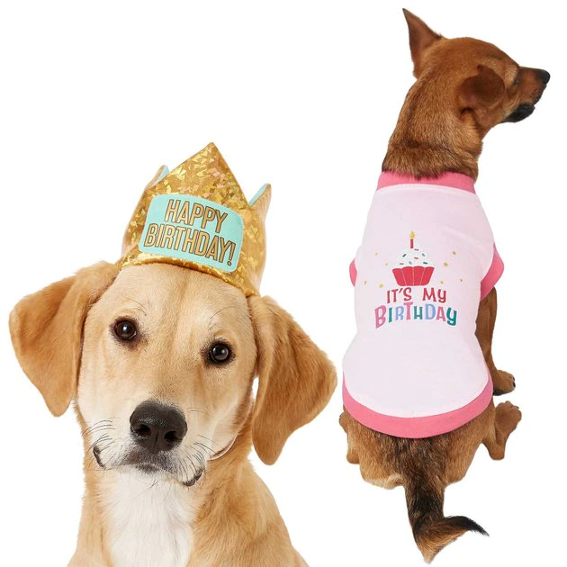 Frisco Happy Birthday Crown, X-Small/Small + Dog & Cat T-Shirt, Pink 3 Frisco Happy Birthday Crown, X-Small/Small + Dog & Cat T-Shirt, Pink