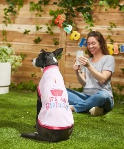 Frisco Happy Birthday Crown, X-Small/Small + Dog & Cat T-Shirt, Pink 18 Frisco Happy Birthday Crown, X-Small/Small + Dog & Cat T-Shirt, Pink -Frisco Sales 2024 302474 PT7. SY630 V1623078155