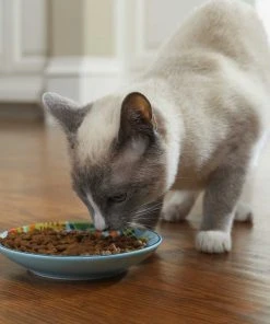 Frisco New York Non-skid Ceramic Dish, 0.50 Cup + Cat Bowl, 1.50 Cups 15 Frisco New York Non-skid Ceramic Dish, 0.50 Cup + Cat Bowl, 1.50 Cups -Frisco Sales 2024 302488 PT4. SY630 V1623069142