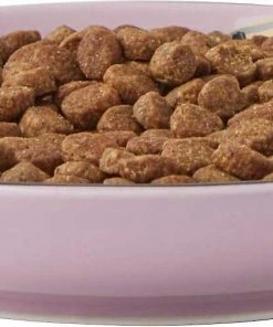 Frisco Paris Non-skid Ceramic Dish, 0.50 Cup + Cat Dish, 1.50 Cup 13 Frisco Paris Non-skid Ceramic Dish, 0.50 Cup + Cat Dish, 1.50 Cup -Frisco Sales 2024 302490 PT2. SY630 V1623058041