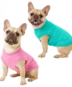 Frisco Basic Dog & Cat T-Shirt, Pink + Teal