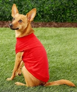 Frisco Basic T-Shirt, Red + Dog & Cat Hoodie, Red -Frisco Sales 2024 302662 PT6. SY630 V1633123628
