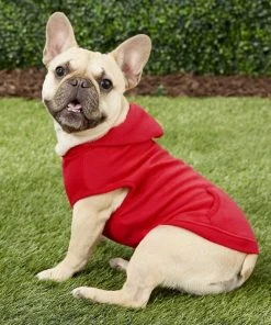 Frisco Basic T-Shirt, Red + Dog & Cat Hoodie, Red -Frisco Sales 2024 302662 PT7. SY630 V1633128453