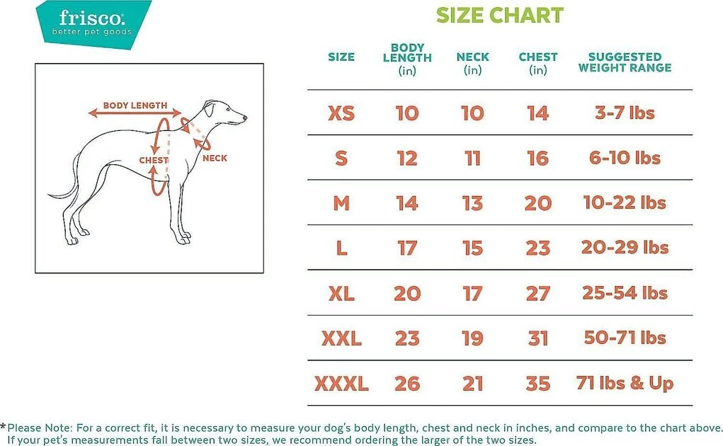 Frisco Basic T-Shirt, Teal + Dog & Cat Hoodie, Teal 4 Frisco Basic T-Shirt, Teal + Dog & Cat Hoodie, Teal - Image 2