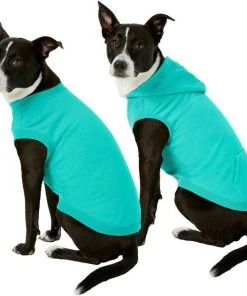 Frisco Basic T-Shirt, Teal + Dog & Cat Hoodie, Teal 13 Frisco Basic T-Shirt, Teal + Dog & Cat Hoodie, Teal -Frisco Sales 2024 302676 PT2. SY630 V1633127879