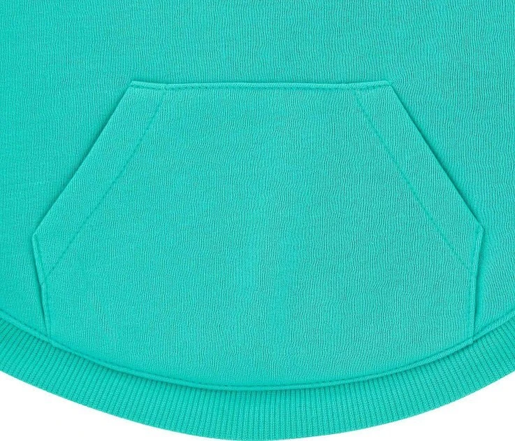 Frisco Basic T-Shirt, Teal + Dog & Cat Hoodie, Teal 6 Frisco Basic T-Shirt, Teal + Dog & Cat Hoodie, Teal - Image 4