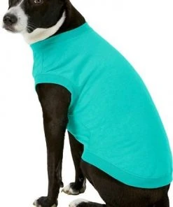 Frisco Basic T-Shirt, Teal + Dog & Cat Hoodie, Teal 15 Frisco Basic T-Shirt, Teal + Dog & Cat Hoodie, Teal -Frisco Sales 2024 302676 PT4. SY630 V1633123589