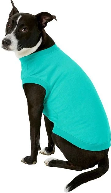 Frisco Basic T-Shirt, Teal + Dog & Cat Hoodie, Teal 7 Frisco Basic T-Shirt, Teal + Dog & Cat Hoodie, Teal - Image 5