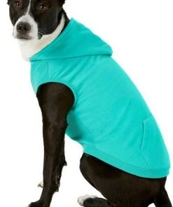 Frisco Basic T-Shirt, Teal + Dog & Cat Hoodie, Teal 16 Frisco Basic T-Shirt, Teal + Dog & Cat Hoodie, Teal -Frisco Sales 2024 302676 PT5. SY630 V1633126626