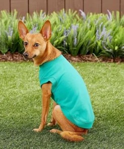 Frisco Basic T-Shirt, Teal + Dog & Cat Hoodie, Teal 17 Frisco Basic T-Shirt, Teal + Dog & Cat Hoodie, Teal -Frisco Sales 2024 302676 PT6. SY630 V1633127770