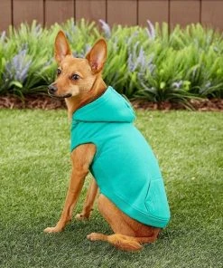Frisco Basic T-Shirt, Teal + Dog & Cat Hoodie, Teal 18 Frisco Basic T-Shirt, Teal + Dog & Cat Hoodie, Teal -Frisco Sales 2024 302676 PT7. SY630 V1633123351