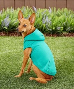 Frisco Basic T-Shirt, Teal + Dog & Cat Hoodie, Teal 19 Frisco Basic T-Shirt, Teal + Dog & Cat Hoodie, Teal -Frisco Sales 2024 302676 PT8. SY630 V1623057743