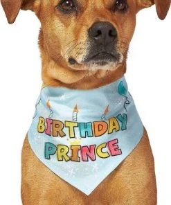 Frisco Birthday Prince Bandana, Medium/Large + Dog & Cat T-Shirt, Blue 14 Frisco Birthday Prince Bandana, Medium/Large + Dog & Cat T-Shirt, Blue -Frisco Sales 2024 302690 PT3. SY630 V1633075586