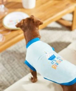 Frisco Birthday Prince Bandana, Medium/Large + Dog & Cat T-Shirt, Blue 17 Frisco Birthday Prince Bandana, Medium/Large + Dog & Cat T-Shirt, Blue -Frisco Sales 2024 302690 PT6. SY630 V1633075297