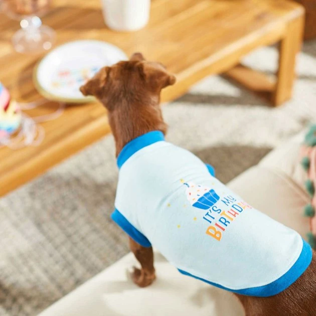 Frisco Birthday Prince Bandana, Medium/Large + Dog & Cat T-Shirt, Blue 9 Frisco Birthday Prince Bandana, Medium/Large + Dog & Cat T-Shirt, Blue - Image 7