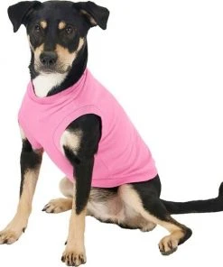 Frisco Dog & Cat Basic Hoodie + T-Shirt, Pink 15 Frisco Dog & Cat Basic Hoodie + T-Shirt, Pink -Frisco Sales 2024 302712 PT4. SY630 V1633064507
