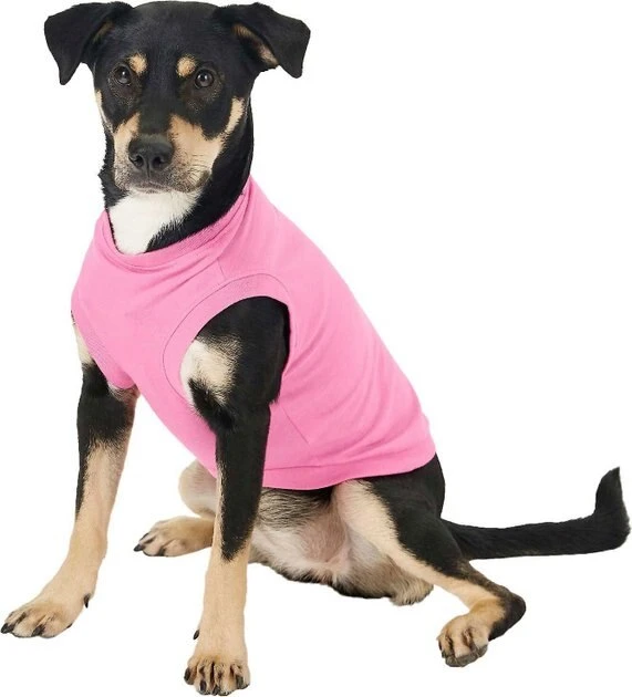 Frisco Dog & Cat Basic Hoodie + T-Shirt, Pink 7 Frisco Dog & Cat Basic Hoodie + T-Shirt, Pink - Image 5