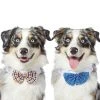 Frisco Plaid Dog & Cat Bow Tie, Orange & Blue + Blue