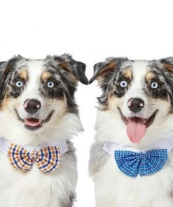 Frisco Plaid Dog & Cat Bow Tie, Orange & Blue + Blue