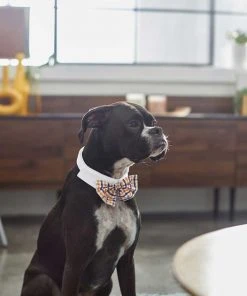 Frisco Plaid Dog & Cat Bow Tie, Orange & Blue + Blue -Frisco Sales 2024 302770 PT3. SY630 V1623081160