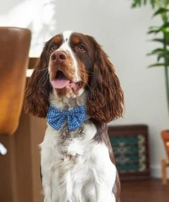 Frisco Plaid Dog & Cat Bow Tie, Orange & Blue + Blue -Frisco Sales 2024 302770 PT6. SY630 V1623067356
