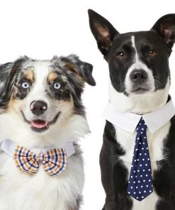 Frisco Plaid Dog & Cat Bow Tie, Orange & Blue + Polka Dot, Navy