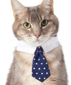 Frisco Plaid Dog & Cat Bow Tie, Orange & Blue + Polka Dot, Navy -Frisco Sales 2024 302784 PT5. SY630 V1623037952