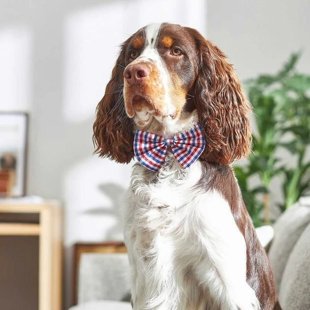 Frisco Plaid Dog & Cat Bow Tie, Red & Blue + Orange & Blue 7 Frisco Plaid Dog & Cat Bow Tie, Red & Blue + Orange & Blue - Image 5