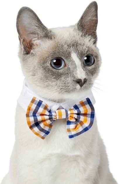 Frisco Plaid Dog & Cat Bow Tie, Red & Blue + Orange & Blue 8 Frisco Plaid Dog & Cat Bow Tie, Red & Blue + Orange & Blue - Image 6