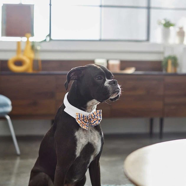 Frisco Plaid Dog & Cat Bow Tie, Red & Blue + Orange & Blue 10 Frisco Plaid Dog & Cat Bow Tie, Red & Blue + Orange & Blue - Image 8