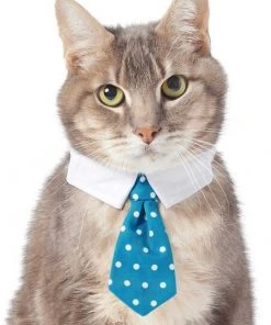 Frisco Plaid Dog & Cat Neck Tie, Blue Plaid + Polka Dot, Teal -Frisco Sales 2024 302794 PT5. SY630 V1623084751