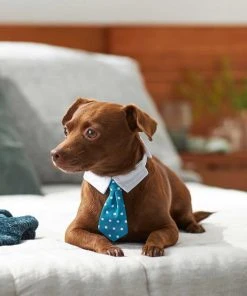 Frisco Plaid Dog & Cat Neck Tie, Blue Plaid + Polka Dot, Teal -Frisco Sales 2024 302794 PT7. SY630 V1623068241