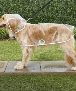 Frisco Rainy Days + Clear Vinyl Dog Raincoat -Frisco Sales 2024 302810 PT7. SY630 V1623040362