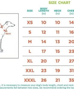 Frisco Rubber Ducky + Reversible Packable Travel Dog Raincoat -Frisco Sales 2024 302880 PT8. SY630 V1623073063