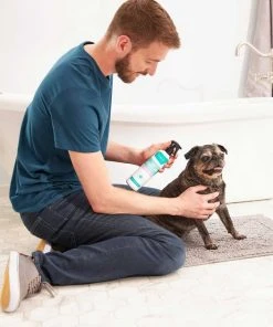 Frisco Aloe Hydrating Spray, 12-oz bottle + Oatmeal Shampoo with Aloe for Dogs & Cats, Almond Scent -Frisco Sales 2024 303372 PT3. SY630 V1623046355