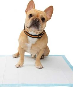 Frisco Dog Training & Potty Pads, 22 x 23-in, 150 count, Unscented + Multi-Surface Cleaning Citrus Scented Wipes -Frisco Sales 2024 303400 PT4. SY630 V1623089554