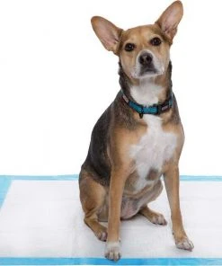 Frisco Heavy Duty Fold & Carry Double Door Collapsible Wire Crate & Mat Kit, + Extra Large Dog Training & Potty Pads, 28 x 34-in, 150 count, Unscented -Frisco Sales 2024 303458 PT5. SY630 V1623166972