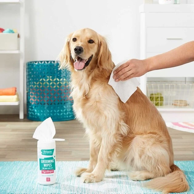 Mobile Dog Gear||Frisco Mobile Dog Gear Week Away Tote Travel Bag, Black, Medium/Large + Frisco Hypoallergenic Grooming Wipes with Aloe for Dogs & Cats, Unscented, 50 count 11 Mobile Dog Gear||Frisco Mobile Dog Gear Week Away Tote Travel Bag, Black, Medium/Large + Frisco Hypoallergenic Grooming Wipes with Aloe for Dogs & Cats, Unscented, 50 count - Image 9