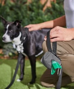 Ubbi||Frisco Ubbi On-The-Go Wipes Dispenser + Frisco Dog Poop Bags with Fabric Dispenser, 30 count, Gray -Frisco Sales 2024 303764 PT8. SY630 V1623057451