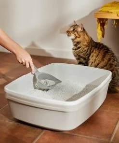 Frisco Attractant Multi-Cat Clumping Clay Cat Litter -Frisco Sales 2024 305403 PT4. SY630 V1659023512