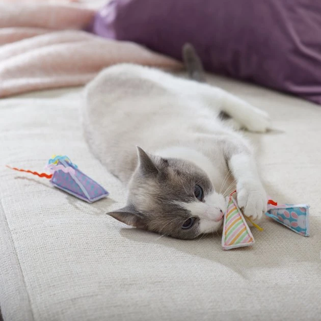 Frisco Easter Party Hat Kickers Cat Toy with Catnip, 3 count 5 Frisco Easter Party Hat Kickers Cat Toy with Catnip, 3 count - Image 3