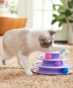 Frisco Unicorn & Rainbow Cat Tracks Cat Toy with Catnip 7 Frisco Unicorn & Rainbow Cat Tracks Cat Toy with Catnip -Frisco Sales 2024 308891 PT3. SY630 V1642688532