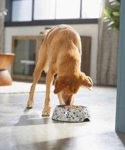 Frisco Terrazzo Design Stainless Steel Dog & Cat Bowl -Frisco Sales 2024 311955 PT2. SY630 V1642535588